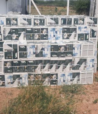 project 4